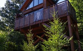 Ski House Szczyrk - Domek Na Kurzej Łapce